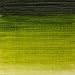 Winsor & Newton Winton Oil Color, 37ml (1.25-oz) Tube, Sap Green