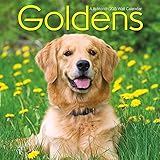 Goldens Wall Calendar by Trends International