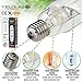 Yield Lab 1000w Metal Halide (MH) Digital HID Grow Light Bulb (5500K) – 1 Bulb – Hydroponic, Aeroponic, Horticulture Growing Equipment