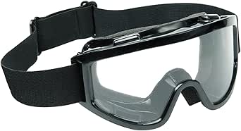 Raider Adult MX Off-Road Snowmobile, Snowboard, Ski Goggles (Black Frame/Clear Lens)