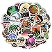 Homyu Stickers Pack 50-Pcs Decals of Outdoors for Laptops Cars Motorcycle Portable Luggages Ipad Waterproof Sunlight-Proof