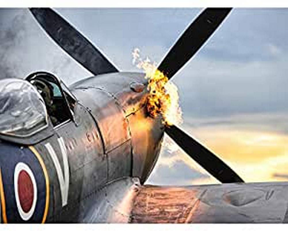 Taylor Military UK Spitfire TE311 Fighter Plane Photo Art Print Canvas Premium Wall Decor Poster Mural