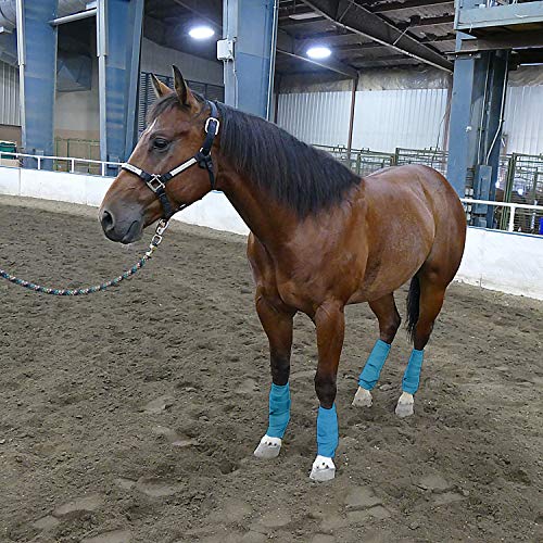 Rural365 Horse Polo Wrap, Horse Leg Wrap 4pk, Turquoise Horse Wrap