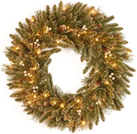 24" Indoor Outdoor Holiday Glittery Pine Gold Christmas Wreath with 50 Clear Lights