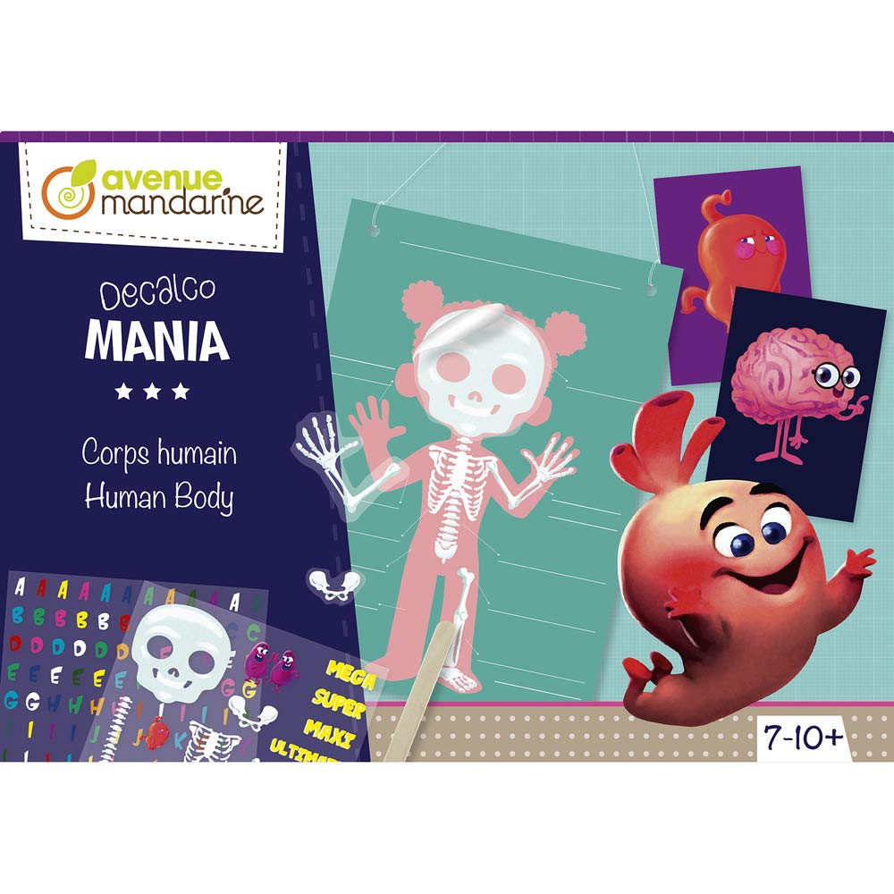 Avenue Mandarine KC096C - One Children's Creative box - DÉCALCO MANIA - HUMAN BODY - From 7 years old - Children's Creative and Leisure Activity - DIY