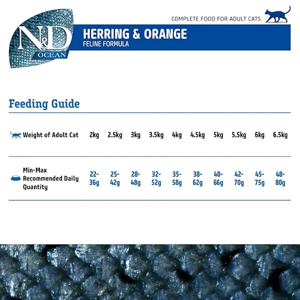HERRING & ORANGE ADULT