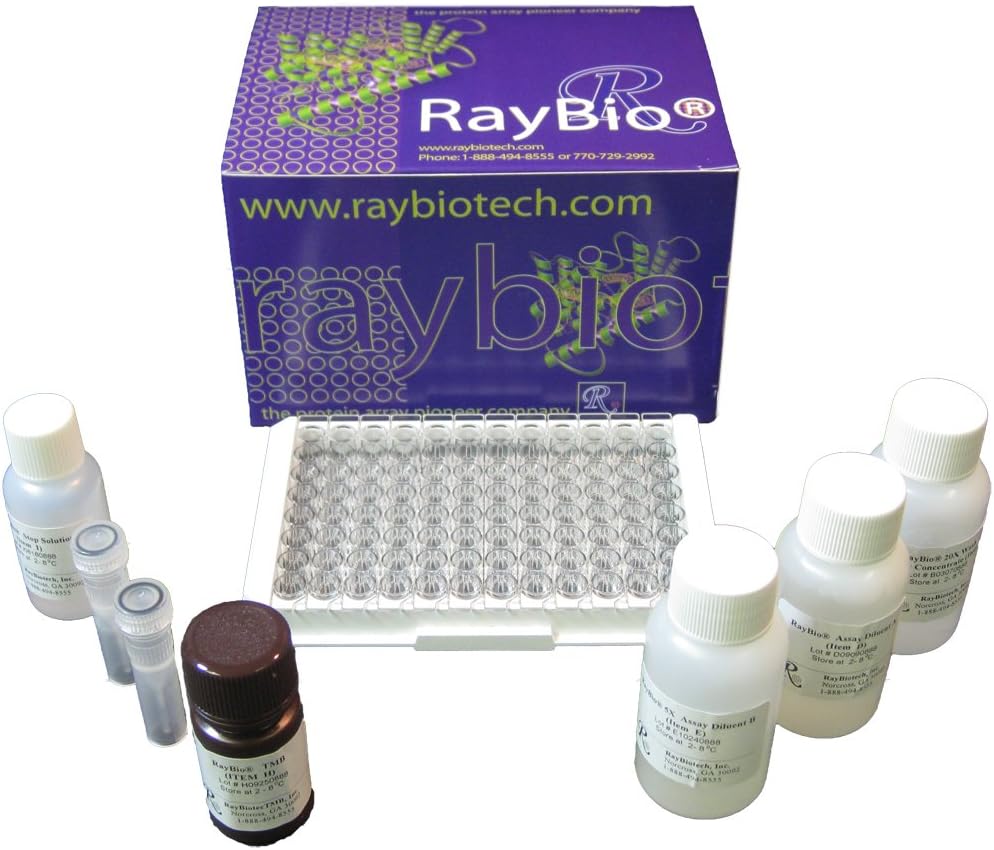 RayBiotech Rat ICAM-1 ELISA, 5 x 96-Well Strip Microplate Kit ELR-ICAM1-5