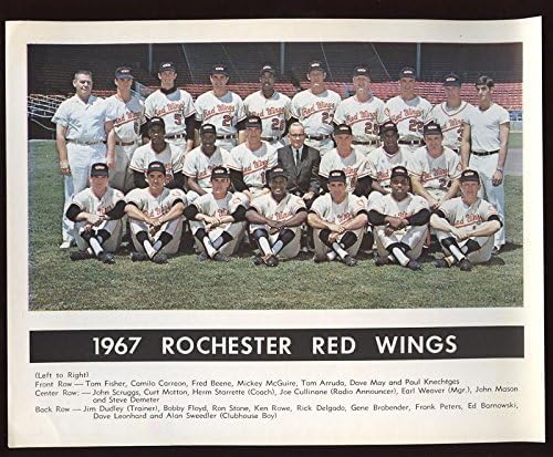 red wings team store