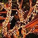 Qedertek Solar String Lights, 72ft 200 LED 8 Modes Fairy Lights for Indoor and Outdoor, Home, Xmas, Yard, Lawn, Weeding, Garden, Patio, party, and Holiday Decorations (Warm White)