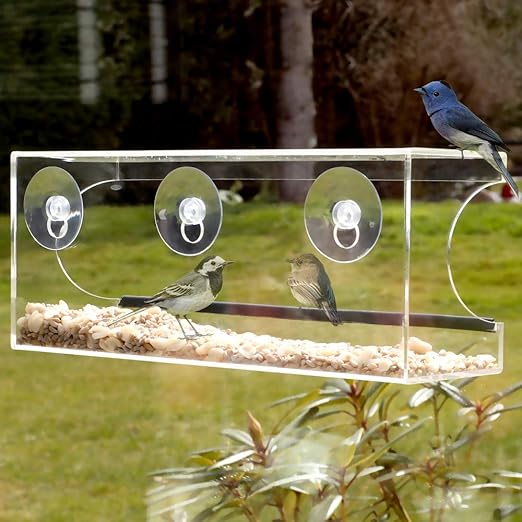 Crystal Clear Bird Feeder Suction Window Feeders Birds Cats And