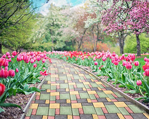 Uitee Path Maker Mold,17.5x15.7x1.5Inch Path Walk Maker Reusable Concrete Path Maker Molds, Stepping Stone Paver, Lawn Patio Yard Garden DIY Walkway Pavement Paving Moulds (10-Grid)