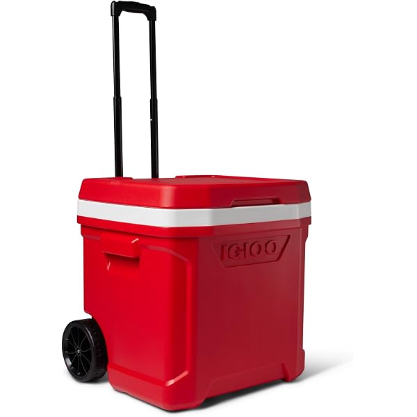 igloo quantum 28 roller