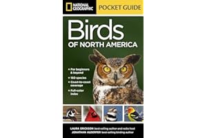 National Geographic Pocket Guide to the Birds of North America