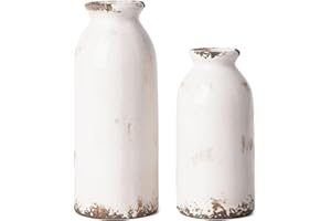 VICTOR & TERESA White Ceramic Vases Home Decor, Farmhouse Vase for Flowers, Flower Vase Set of 2, Rustic Decorative Vases for Pampas Grass, Table, Living Room, Shelf, Centerpieces, 8 inch