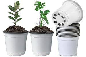 Nursery Pots 50 PCS 6Inch Plastic Plant Pot Flower Seed Starter Pots for Seedling Nursery Supplies Grow Pot Planter Flower Po