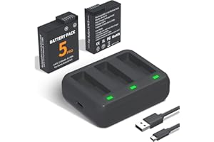 LP 2-Pack Osmo Action Extreme Battery Plus (2100mAh) and USB C Fast Charging Case Set, Compatible with DJI Action 6 Osmo 360 