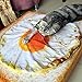 UEETEK Pet Blanket for Dog Cat,Animal Fried Egg Shaped Quilt Puppy Kitten Bed Sleep Mat