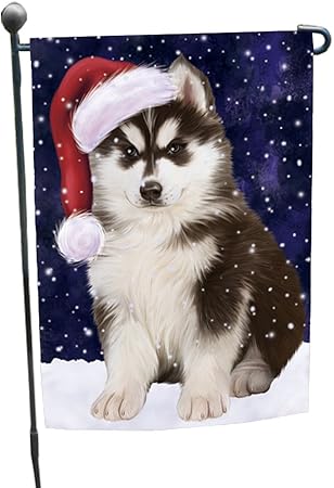 husky with santa hat