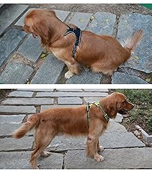 JUXZH Soft Front Dog Harness .Best Reflective No