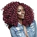 4 Pack Deal ISIS Synthetic 100% Kanekalon Braid A Fri-Naptural Definition Braid (2)