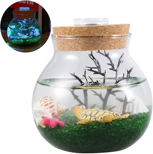 cute small aquariums