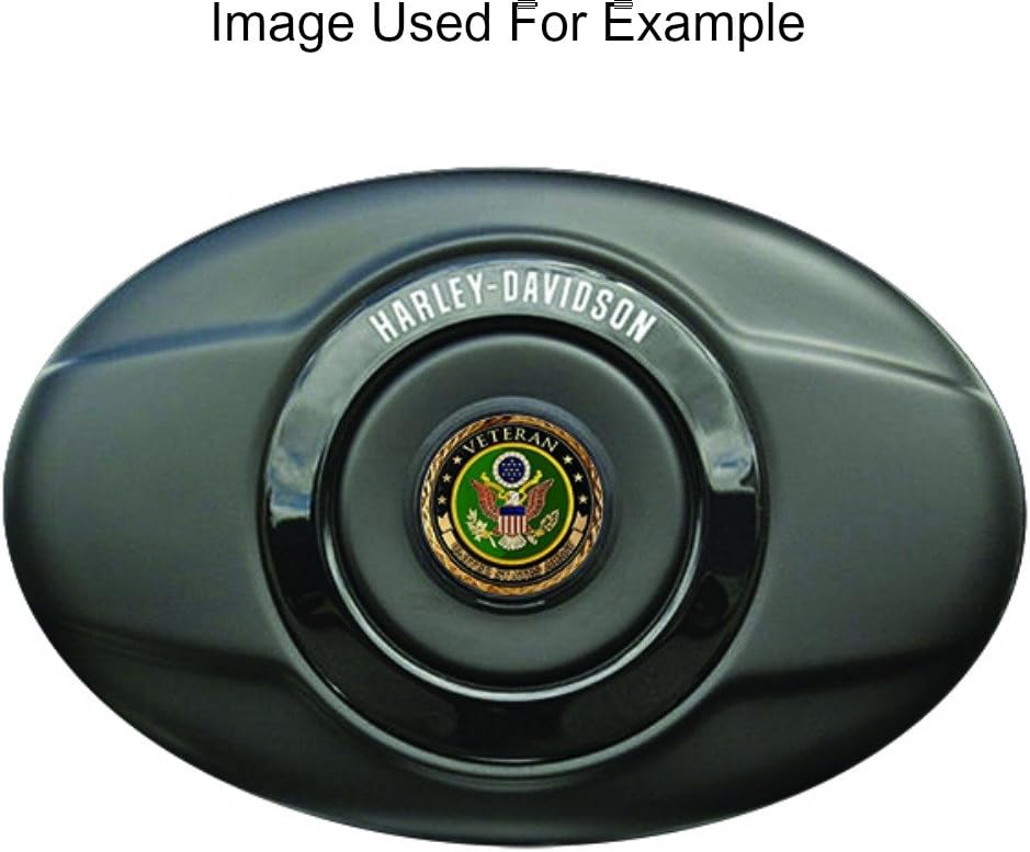 Harley Twin Cam Black Air Cleaner Coin Mount