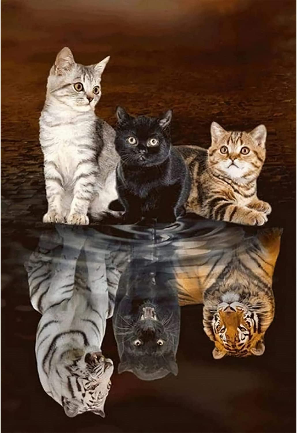 XIATIAN Diamond Art for Adults, 5D Diamond Painting Art Kits Adult Cats Tiger Reflections, Crystal Art Full Round Drill Diamond Art for Home Wall Decor 30×40 cm