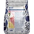 Fabbri Morbifrutta, Base for Fruit Ice Cream and Sorbet, 2.2lb
