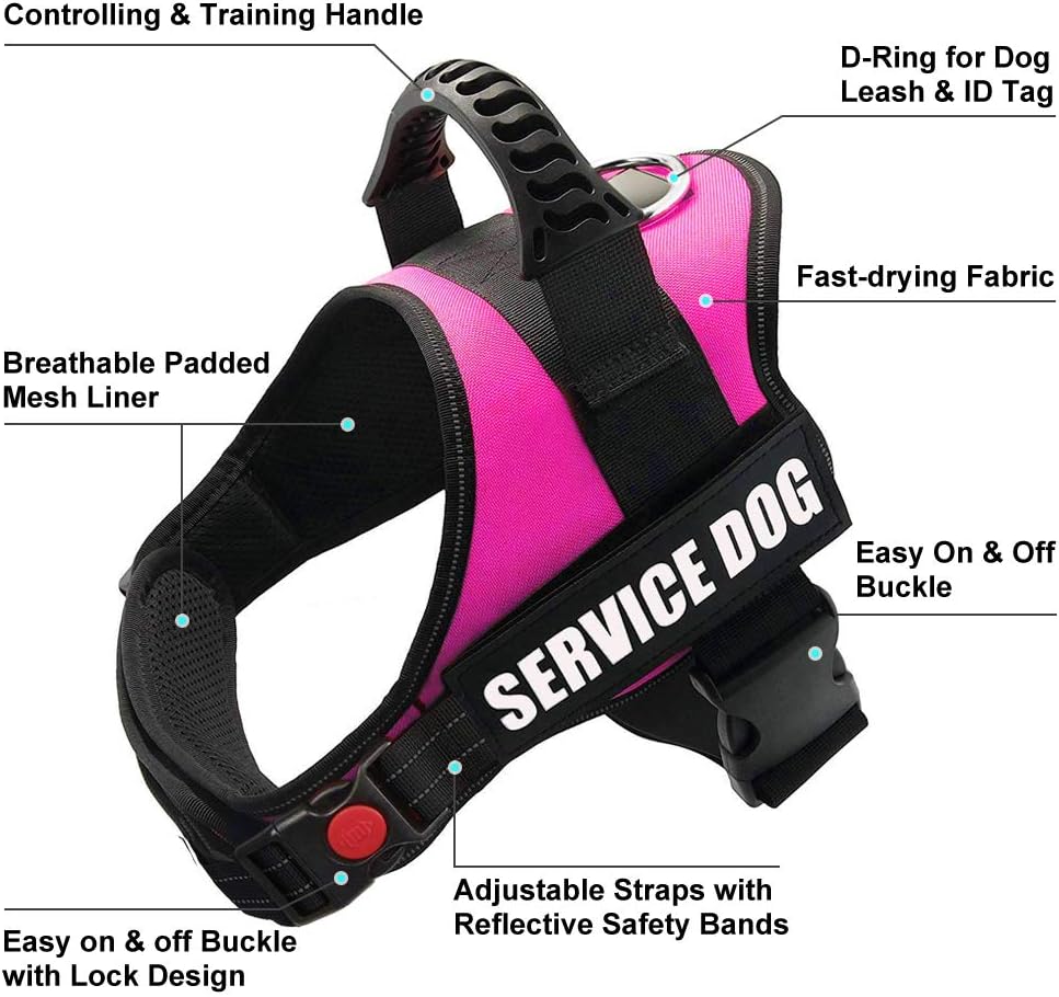 canine service vest