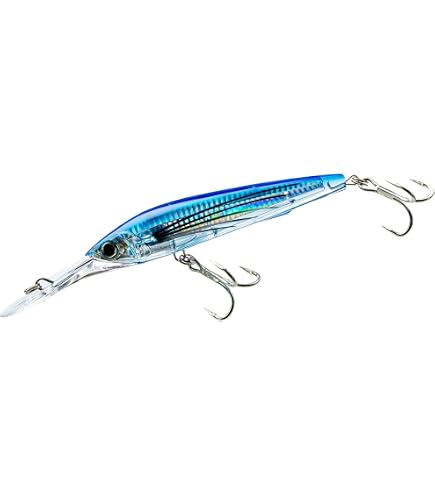 Amazon.com : Yo-Zuri R1165-CPBN 3D Magnum Deep Diver Floating Lure