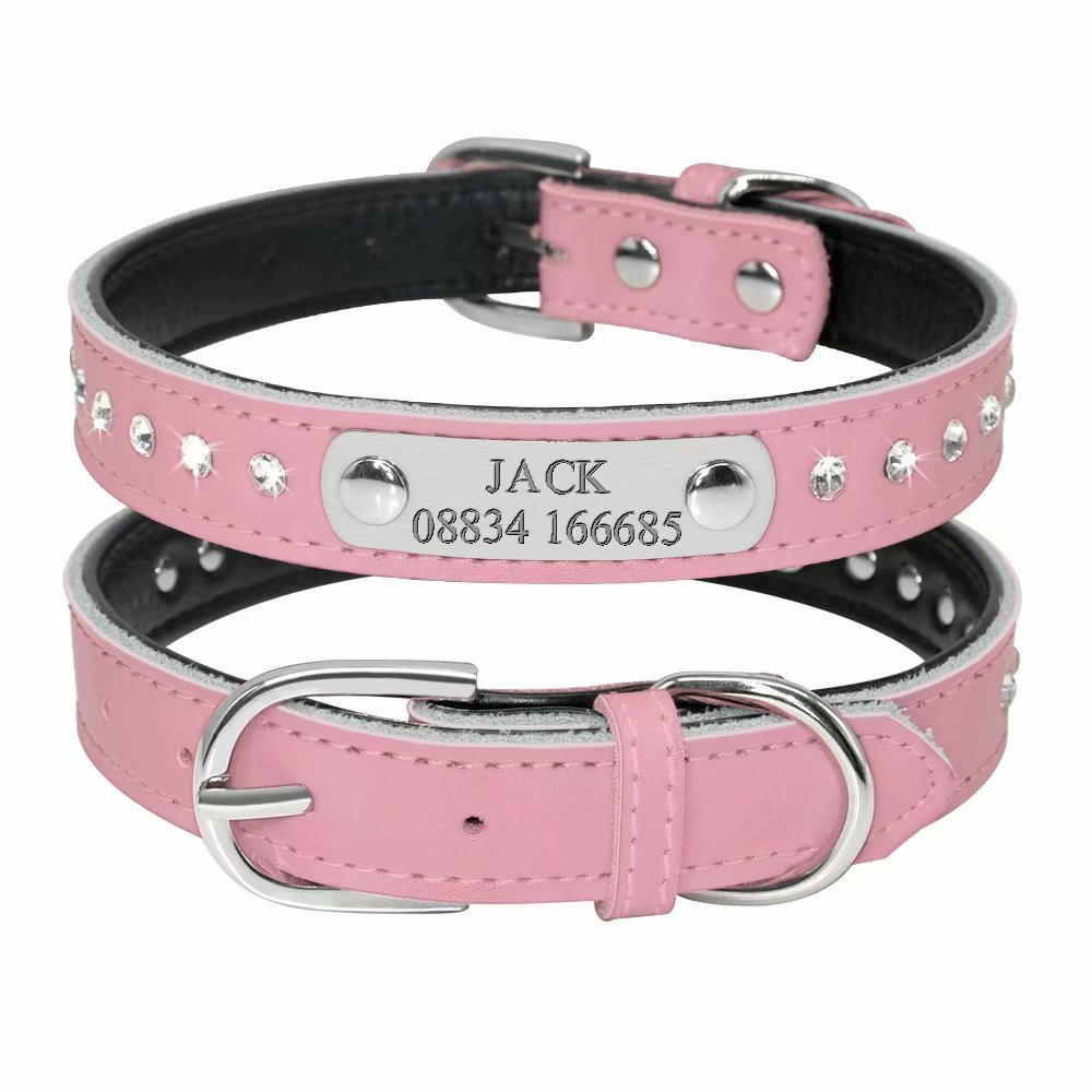 Didog Sparkly Rhinestone Padded Custom Dog Collar With Engrave