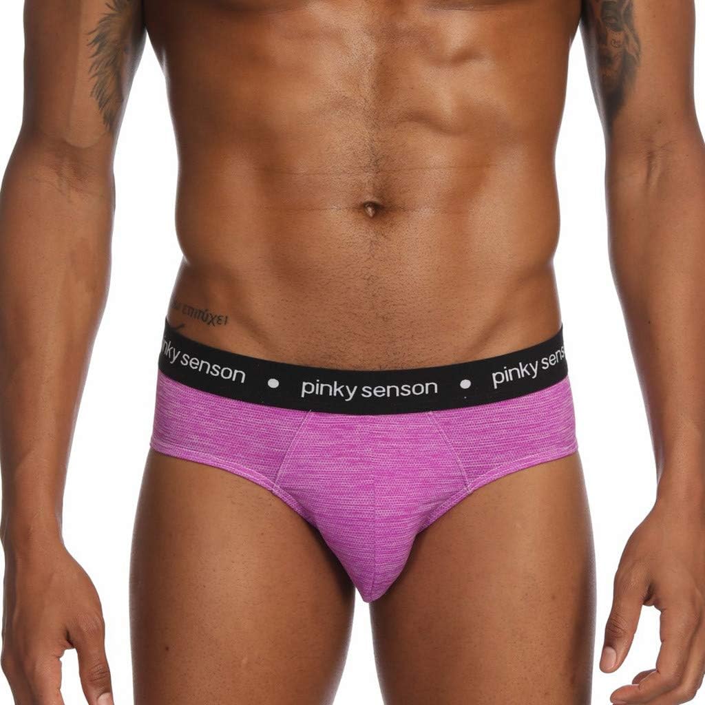 YAYUMI Men's Briefs,Underwear Microfiber Briefs No Fly Covered Waistband Silky Touch Underpants