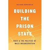 Building the Prison State: Race and the Politics of Mass Incarceration (Chicago Series in Law and Society)