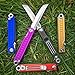 StatGear Pocket Samurai Micro Folding Knife - Everyday Carry 440C Stainless Steel Tanto Blade - Higonokami Style EDC Knife with Keychain Loop - Purple