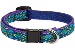 LupinePet Originals 1/2" Rain Song Cat Safety Collar , 8-12"