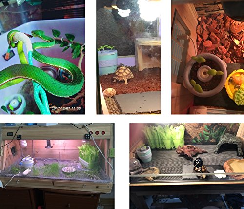 pranovo Reptile Fogger Humidifier Humidifying Fog Machine Terrarium Tank Potted Plant Pet Supplies for Amphibians Lizard Leopard Gecko Lizard Scorpion Crested Gecko Crickets Beetle - Thumbnail 5
