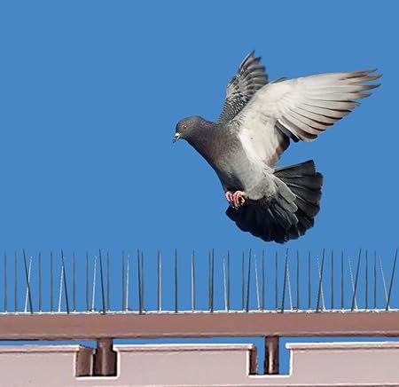 SpikeZone - Bird Control Spikes, Bird Spikes, Pigeon Spikes, Ploycarbote Spikes (Cover 22 Running Feet, Set Of 20 Pcs)