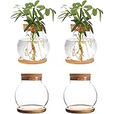 CHPINDAM Plant Propagation Station,Hydroponic Glass Container Vase Jars, with Wooden Saucer for Desks, Houses, Garden Decorations, Home Kitchen Decorations and Gifts for Plant Lovers (4)