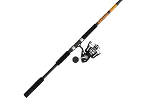 Ugly Stik Bigwater Fishing Rod & Penn Pursuit IV Spinning Reel Combo