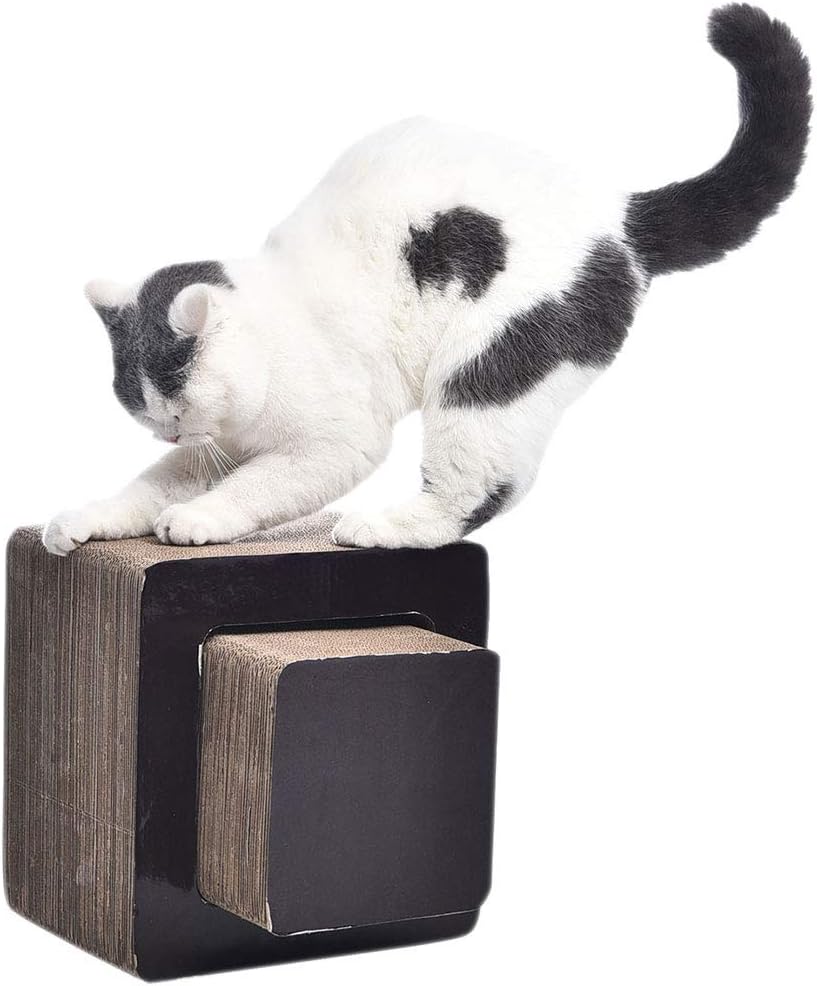 Basics Square Cardboard Cat Scratcher Lounger - 12 x 12 x 9 Inches, Small : Pet Supplies
