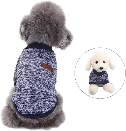 miniature poodle clothes