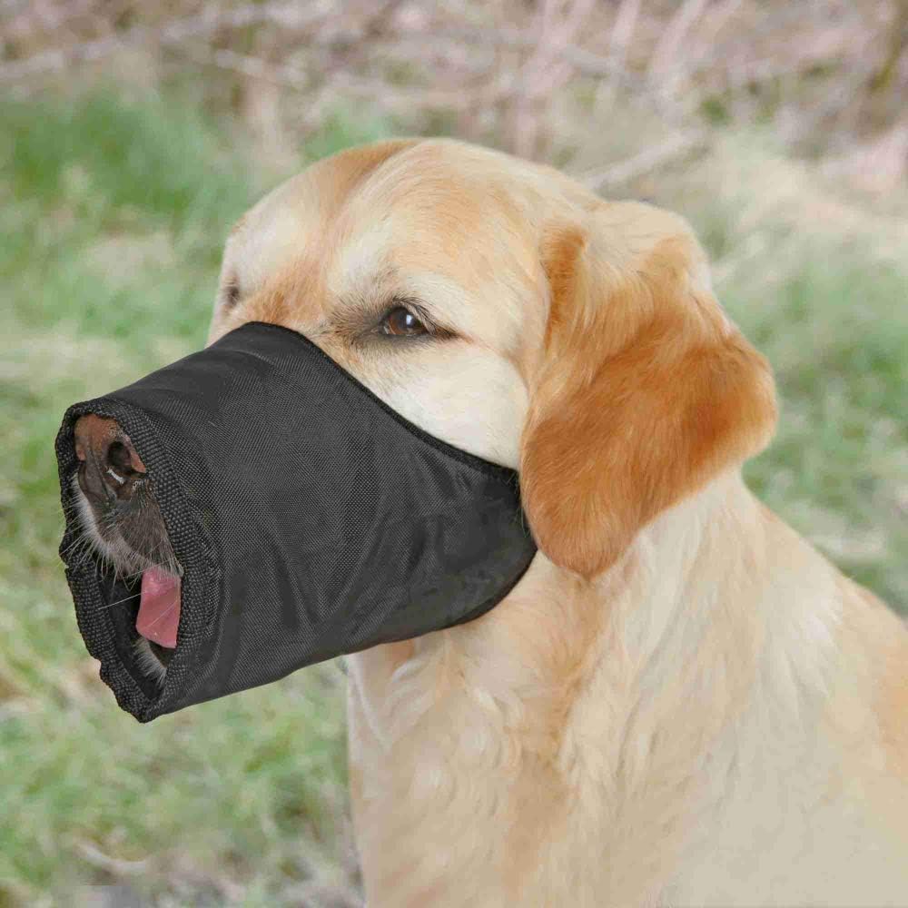 black dog muzzle