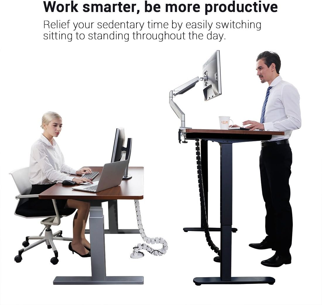 FLEXISPOT Standing Desk Dual Motors,Sit Stand Desk Height Adjustable Desk Stand Up Desk Electric Standing Desk Adjustable Standing Desk with Memory Smart Pannel EB2 Series (White Frame Only) - Image 3