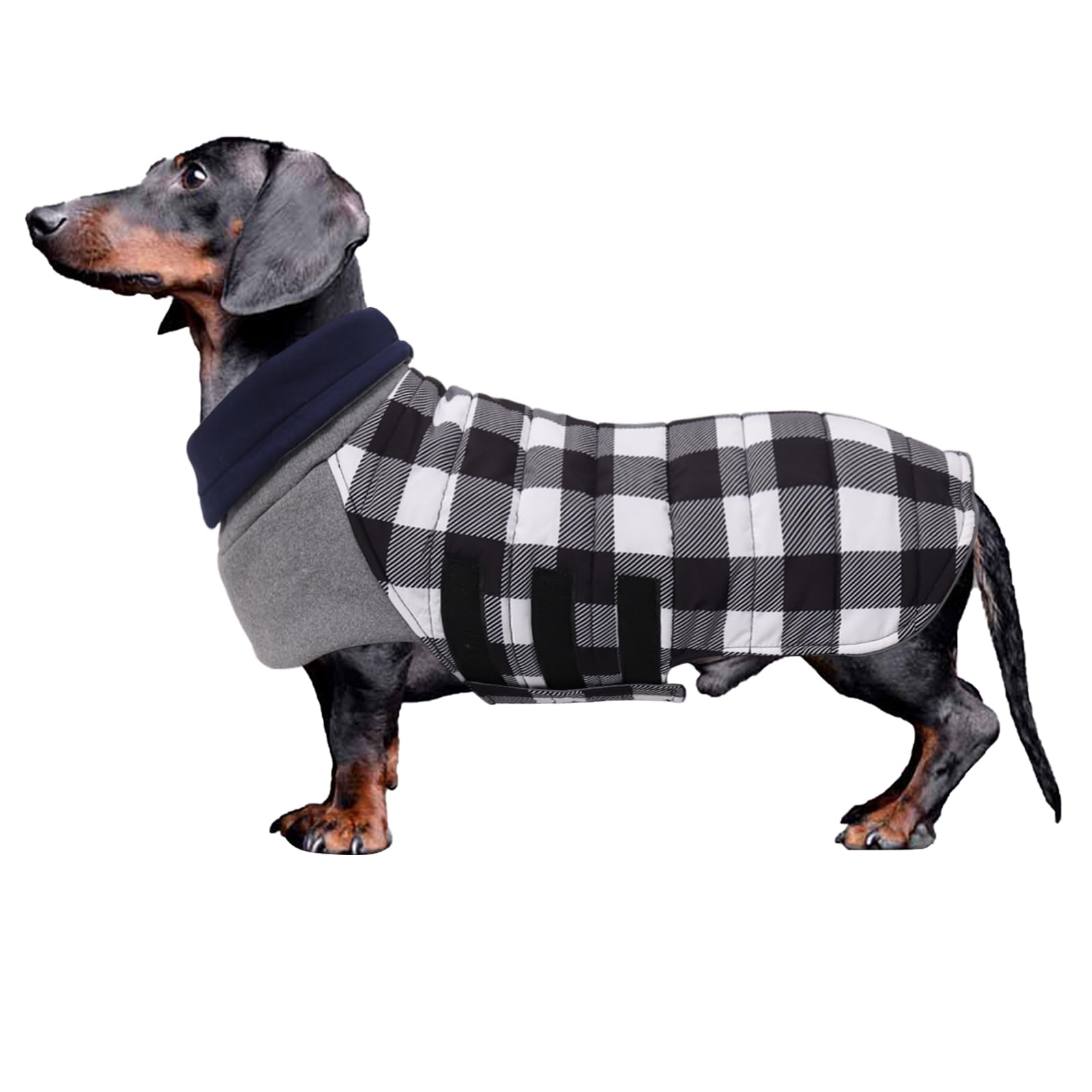 Geyecete Warm Thermal Quilted Dachshund Coat,High Neckine String Holes Dachshund jacketOutdoor Dog Apparel with Adjustable Bands for Small,Medium Dog-Black-M