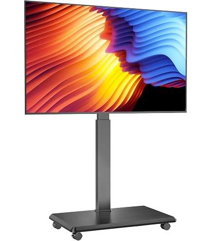 Amazon.com: AX WABER Universal Floor TV Stand, Portable Rolling