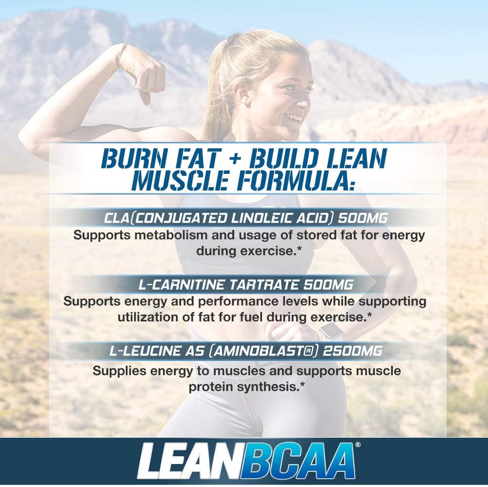 Evlution Nutrition LeanBCAA, BCAA’s, CLA and L-Carnitine, Stimulant-Free, Recover and Burn Fat, Sugar and Gluten Free, 30 Servings (Watermelon): Health & Personal Care