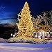 TaoTronics LED String Lights 66ft 200 LEDs Dimmable Festival Decorative Lights for Seasonal Holiday, Complete Waterproof, UL Listed(Copper Wire Lights, Warm White)-2 Pack