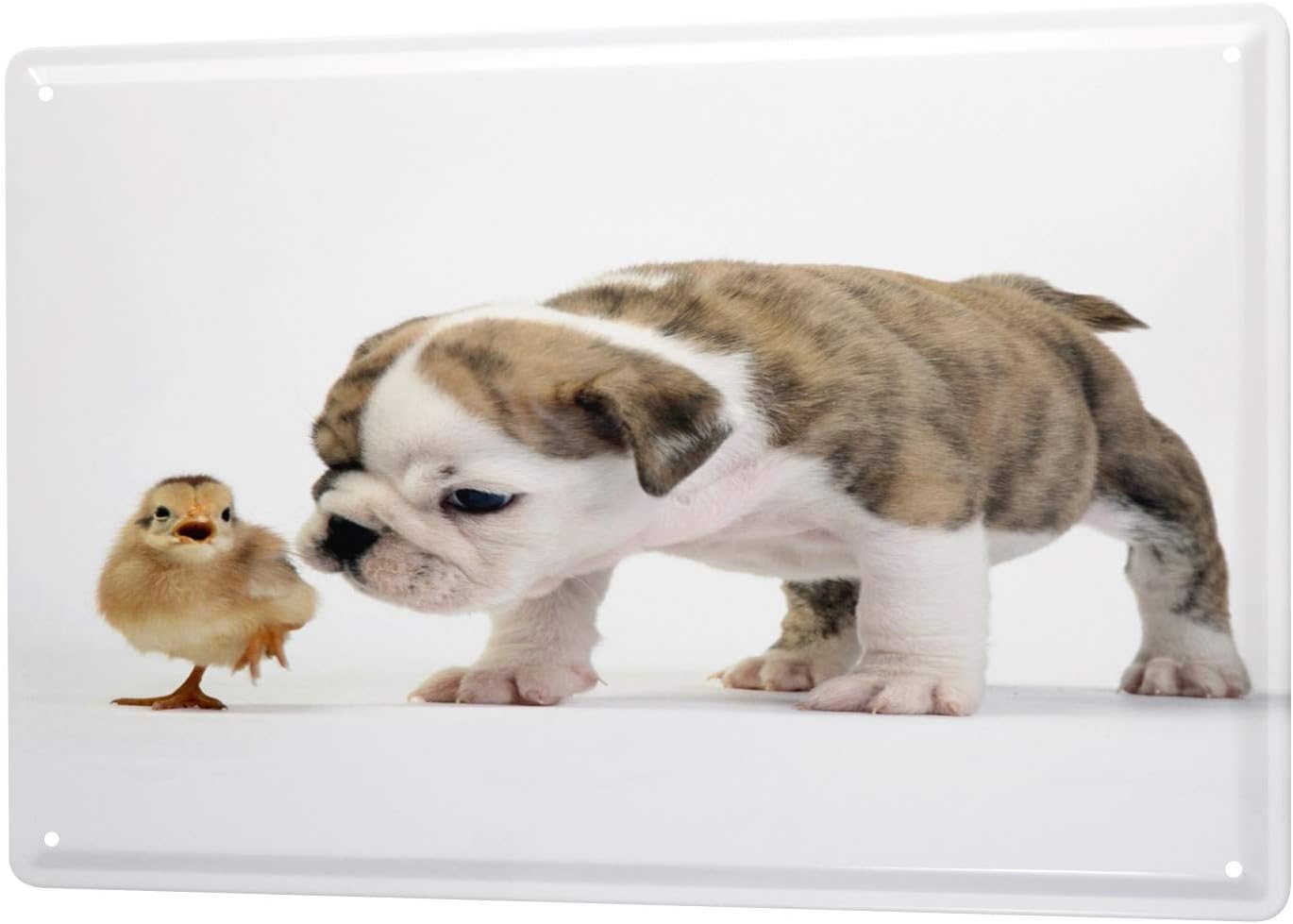 LEotiE SINCE 2004 Tin Sign Metal Plate Decorative Sign Home Decor Plaques 30 x 40 cm Kitchen Dog Puppy Chicks