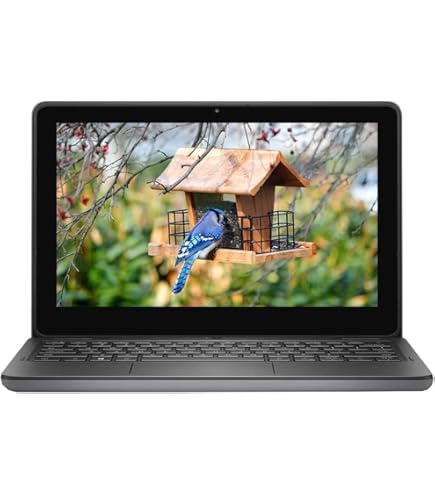 Amazon.com: HP Probook 11-G2 11.6