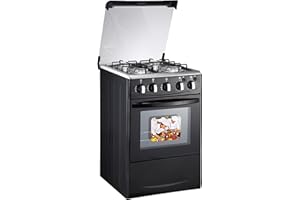 DGLEYISU 20-inch LPG (Propane) Gas Range, 4-Burner Cooktop with 62L Oven, 201 Stainless Steel, Black Glass Lid, Electronic Ignition, for Kitchen